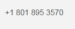 Skype Number